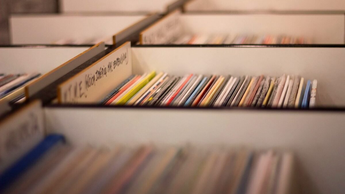 Rows of colourful vinyl record sleeves standing in bins inside a bright record shop