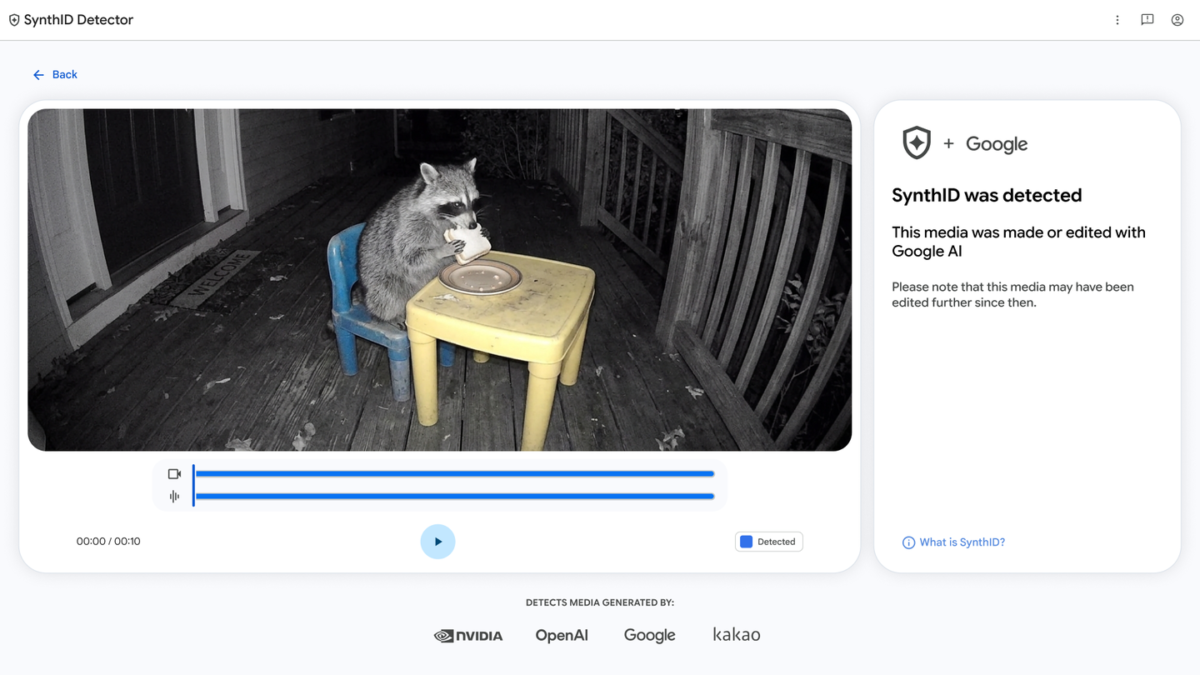 SynthID Detector screen showing a checked video of a raccoon with the result panel